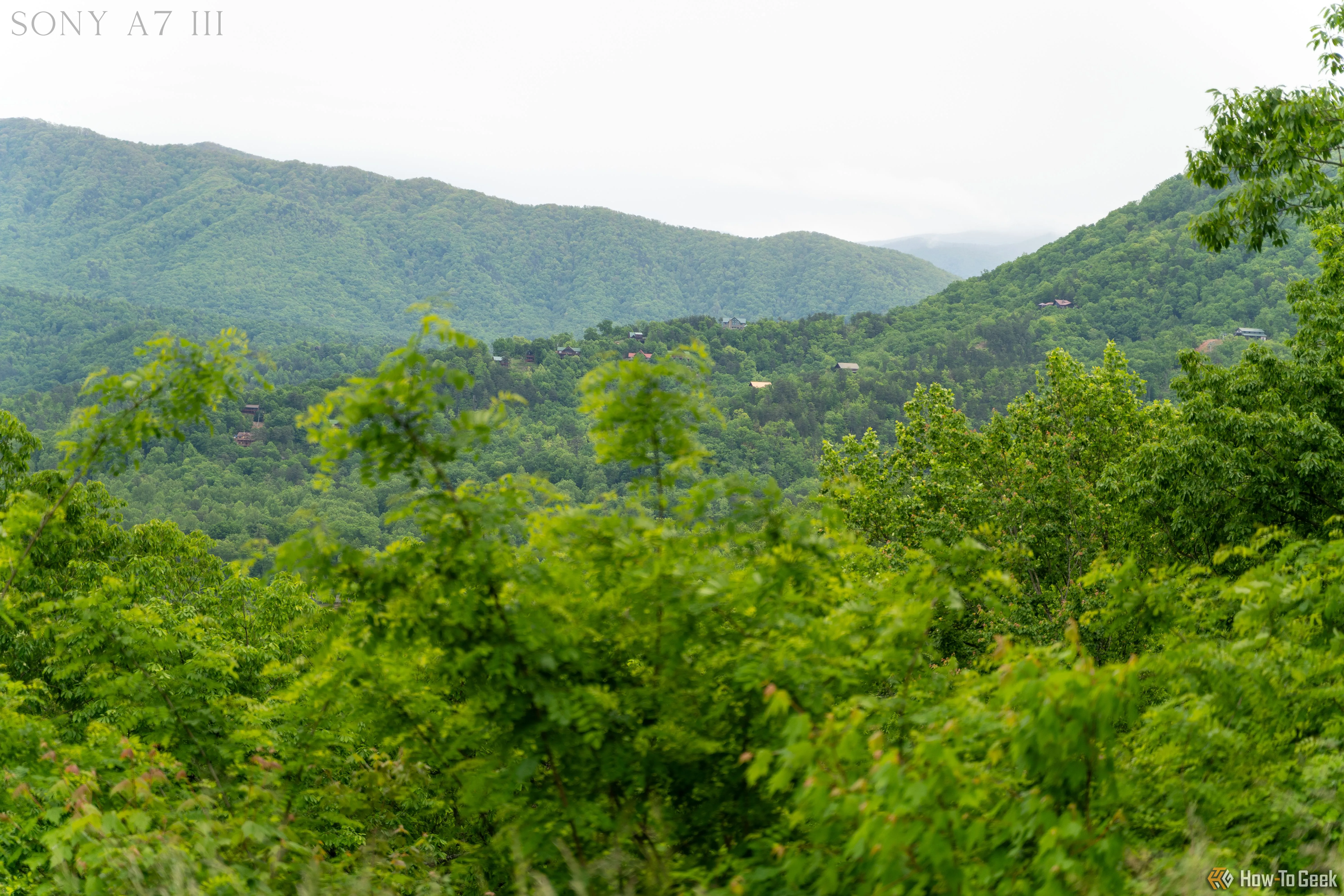 Cảnh rừng núi tại Công viên Quốc gia Great Smoky Mountains chụp bằng Sony A7 III