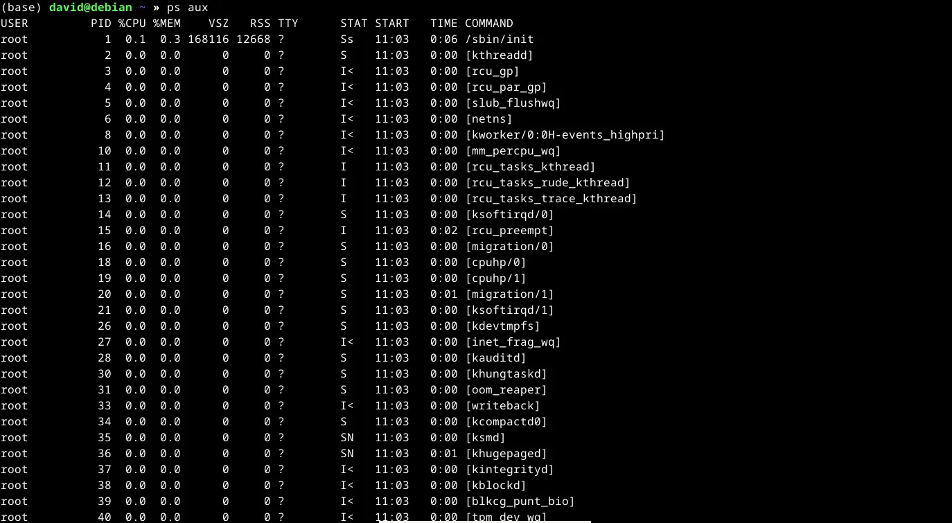 Danh sách tất cả các tiến trình (processes) đang hoạt động trên Linux bao gồm daemons, hiển thị bởi lệnh ps aux trong terminal.