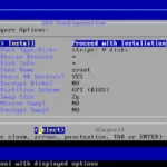 Giao diện cài đặt FreeBSD với tùy chọn phân vùng ổ đĩa tự động