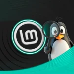Logo Linux Mint và linh vật Linux cùng kính lúp, tượng trưng cho sự dễ tiếp cận của hệ điều hành.