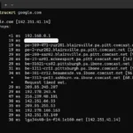 Màn hình hiển thị kết quả lệnh tracert trên Windows 11, minh họa đường đi của dữ liệu.