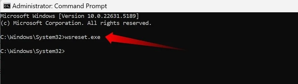 Reset bộ nhớ cache Microsoft Store trên Windows bằng lệnh wsreset.exe