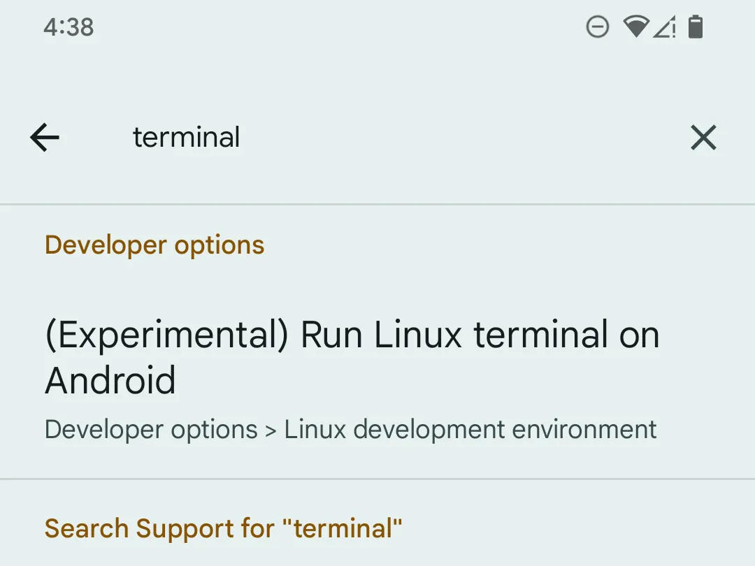 Tìm kiếm tùy chọn &quot;terminal&quot; trong mục Cài đặt nhà phát triển trên điện thoại Pixel để kích hoạt Linux