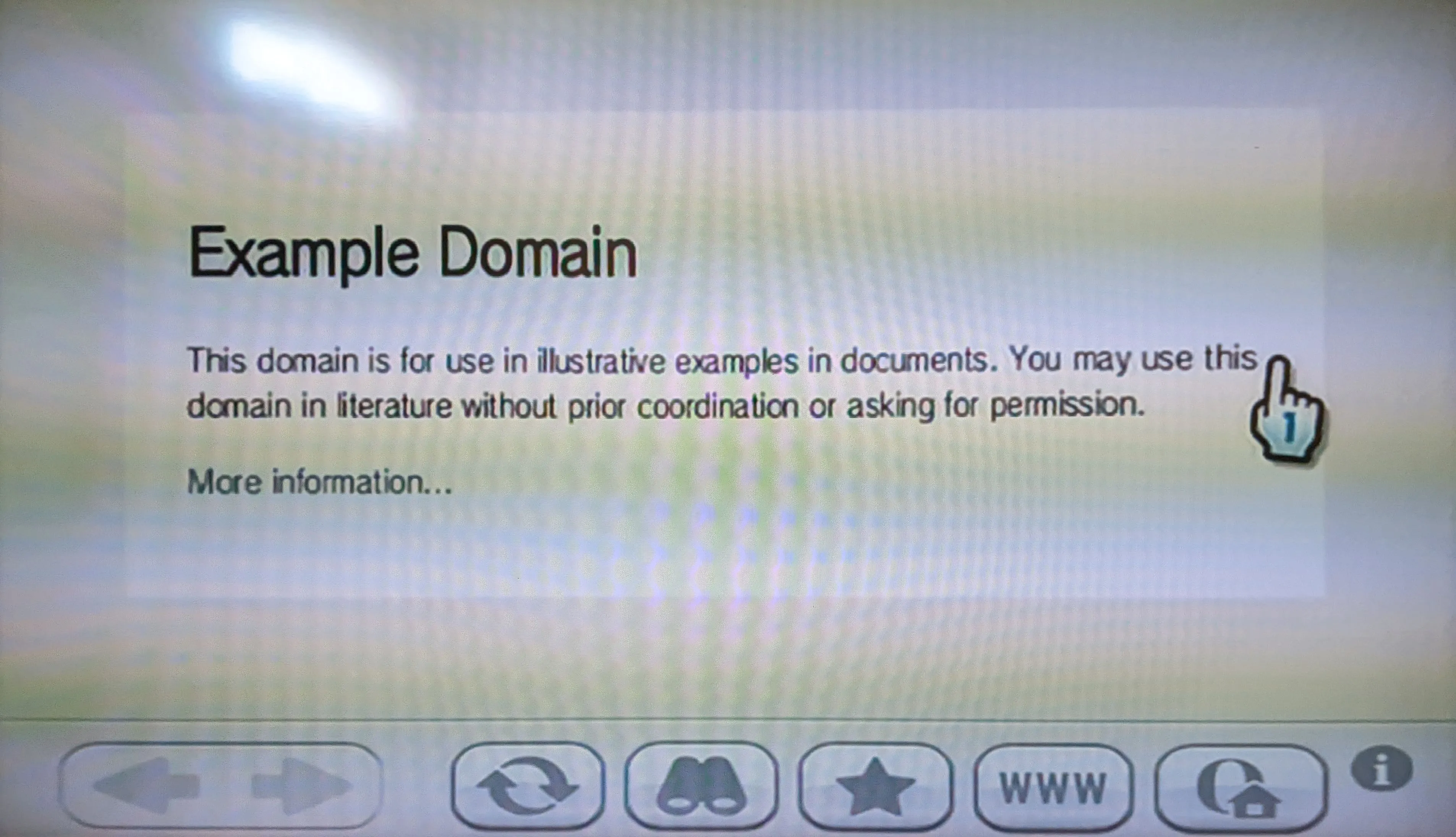Trình duyệt Wii hiển thị trang web example.org với nội dung văn bản đơn giản.