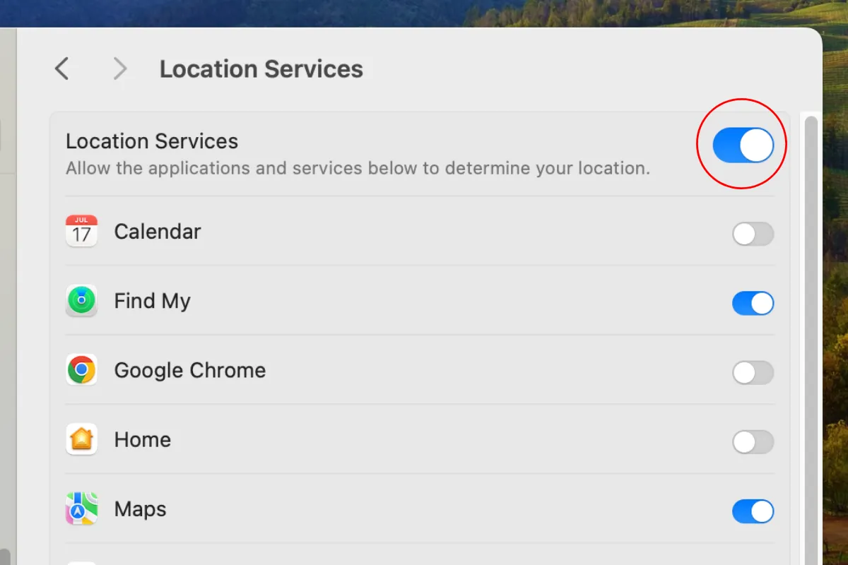 Tùy chọn tắt Dịch vụ định vị trong cài đặt Quyền riêng tư &amp; Bảo mật của macOS.