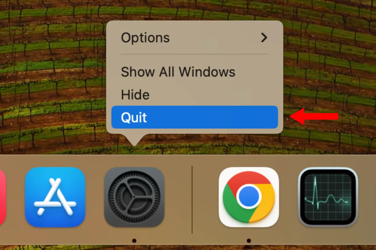 Tùy chọn Thoát ứng dụng từ Dock trên macOS.