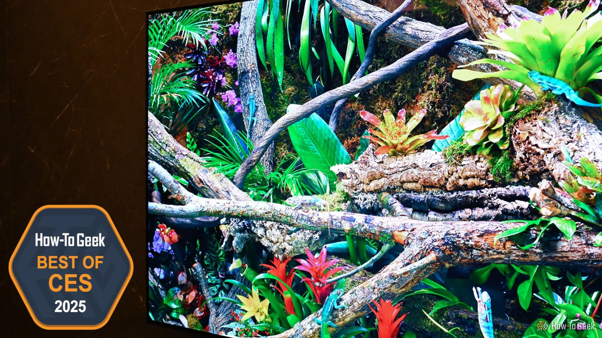 TV Samsung OLED S95F với công nghệ chống lóa tiên tiến tại CES 2025.