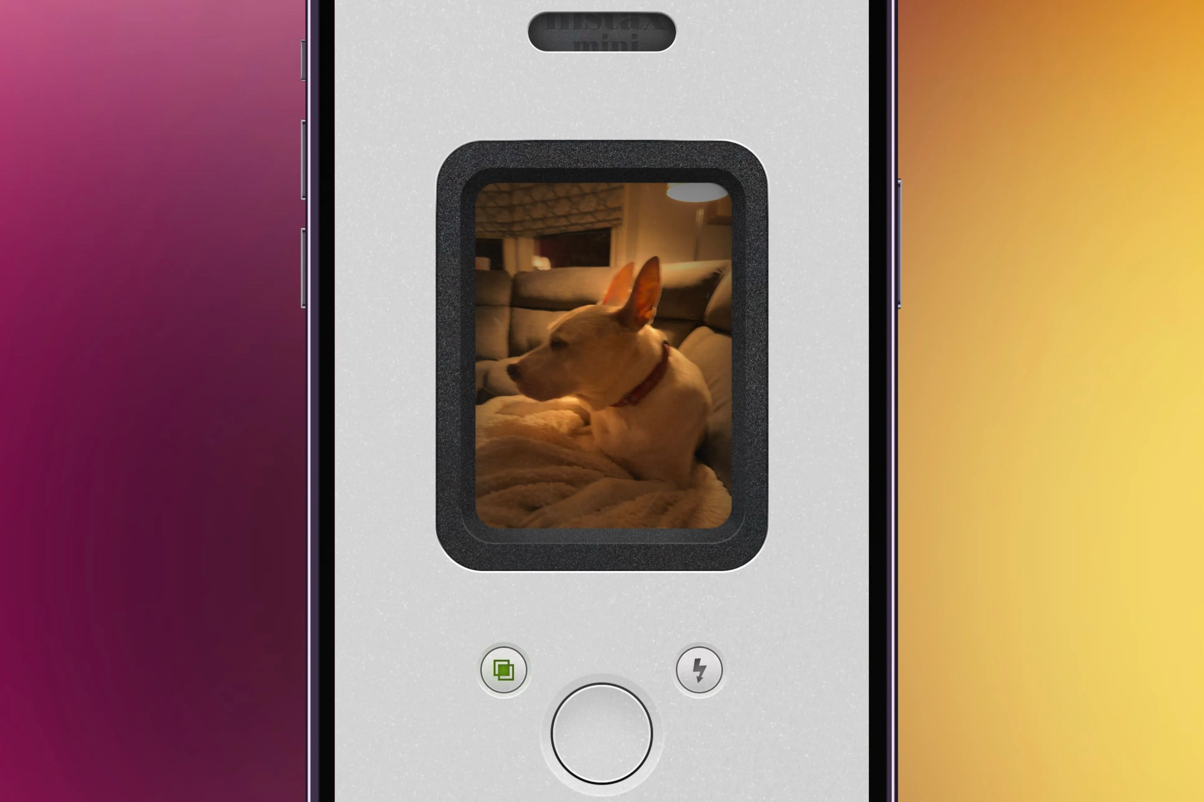 Ứng dụng NOMO Cam trên iPhone hiển thị ảnh chó, tái hiện phong cách Polaroid cổ điển.