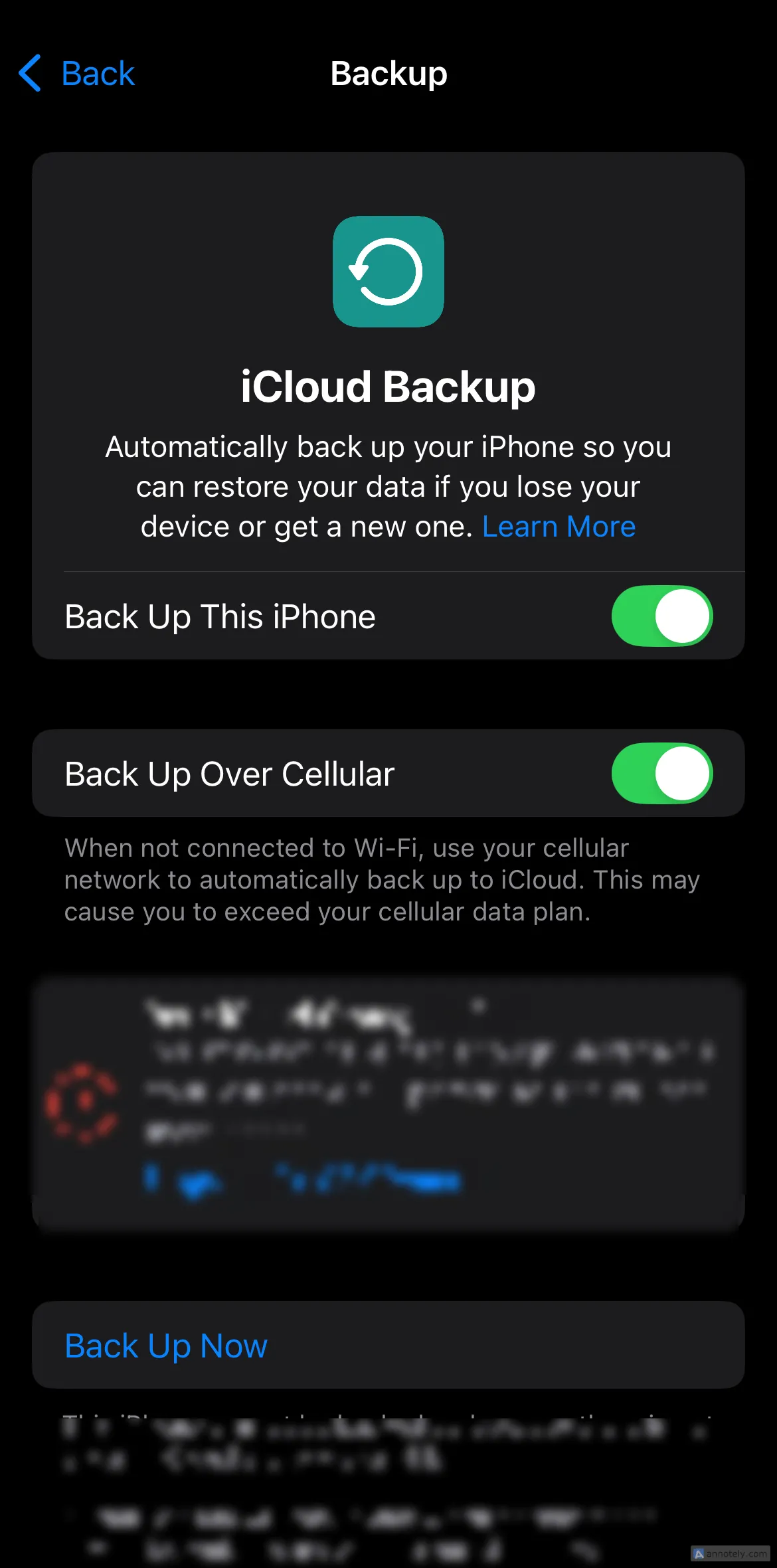Bật tính năng sao lưu iPhone lên iCloud tự động