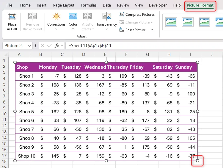 Bộ dữ liệu trong Excel được sao chép qua công cụ Camera, với tay cầm thay đổi kích thước và tab Picture Format được làm nổi bật