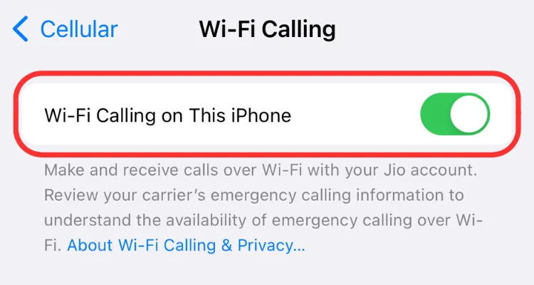 Cài đặt bật/tắt Wi-Fi Calling trên iPhone, giúp kích hoạt tính năng dễ dàng