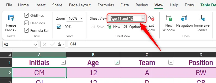 Chế độ xem trang tính được đổi tên thành &quot;Age 11 and 12&quot; trong Excel cho web.