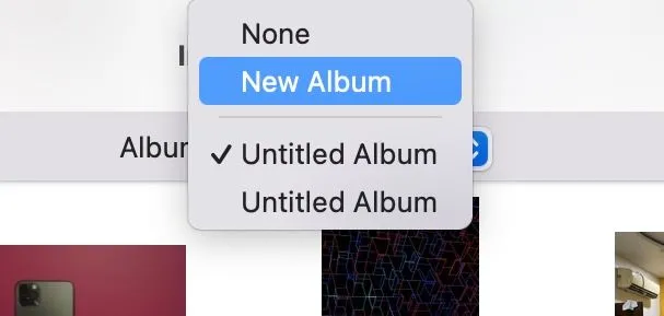 Chọn album để nhập ảnh và video từ iPhone đã kết nối trong ứng dụng Photos trên Mac