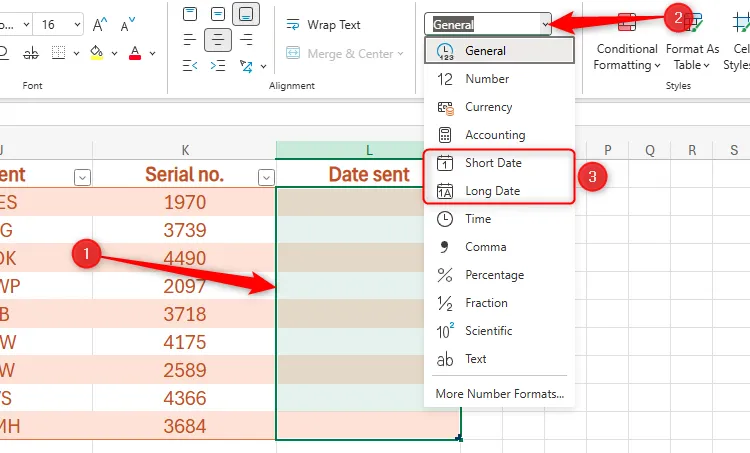 Chọn các ô trong bảng tính Excel cho web và đánh dấu tùy chọn định dạng ngày (Short Date và Long Date).