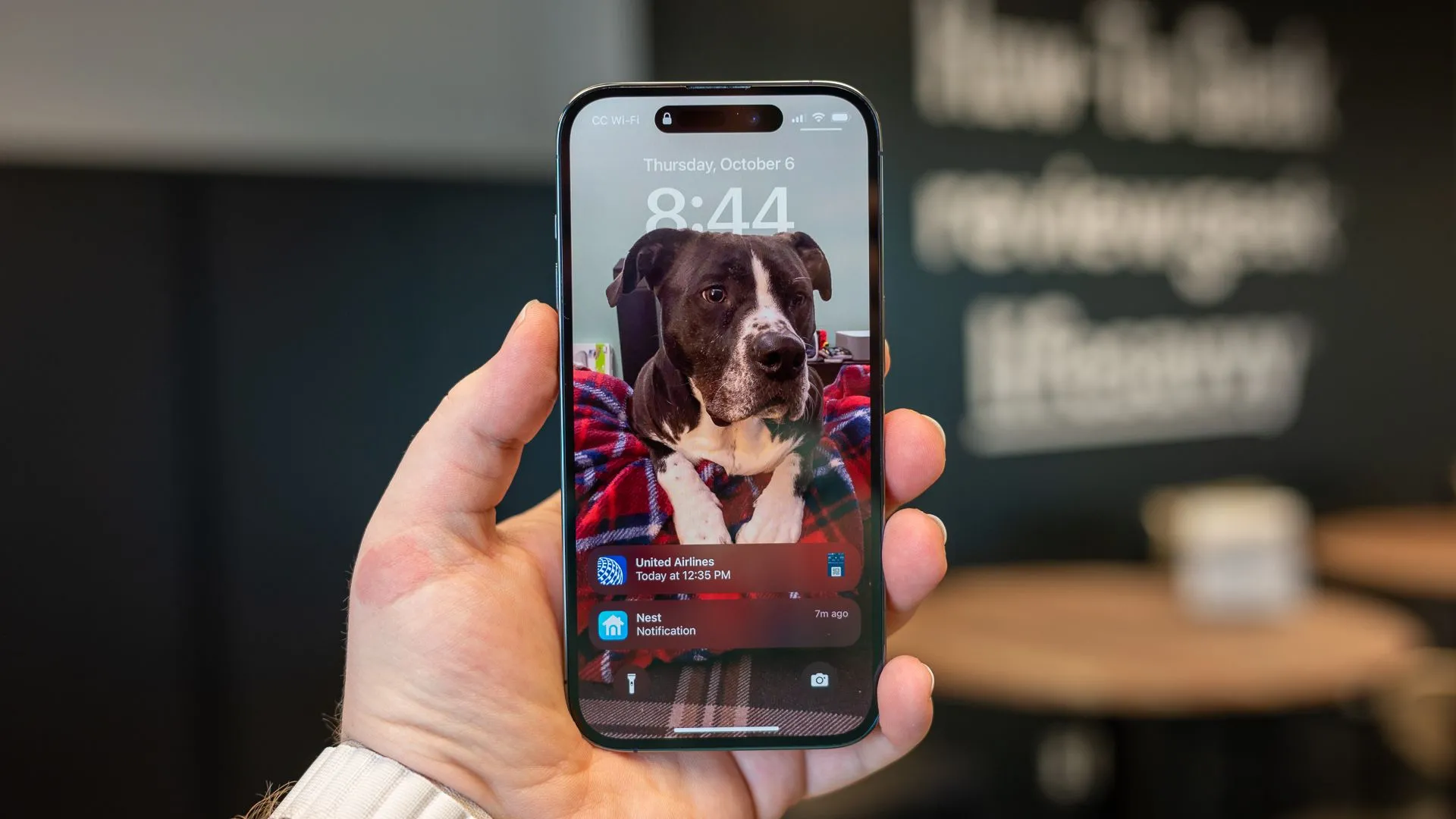 Điện thoại Apple iPhone 14 Pro, một thiết bị công nghệ phổ biến thường xuyên hiển thị thông báo ứng dụng