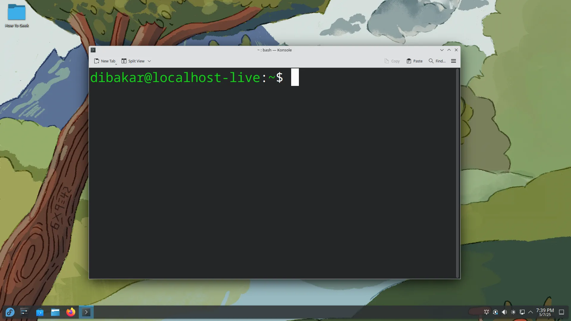 Giao diện Fedora KDE Plasma với cửa sổ terminal đang hiển thị lệnh, minh họa trải nghiệm người dùng Fedora.