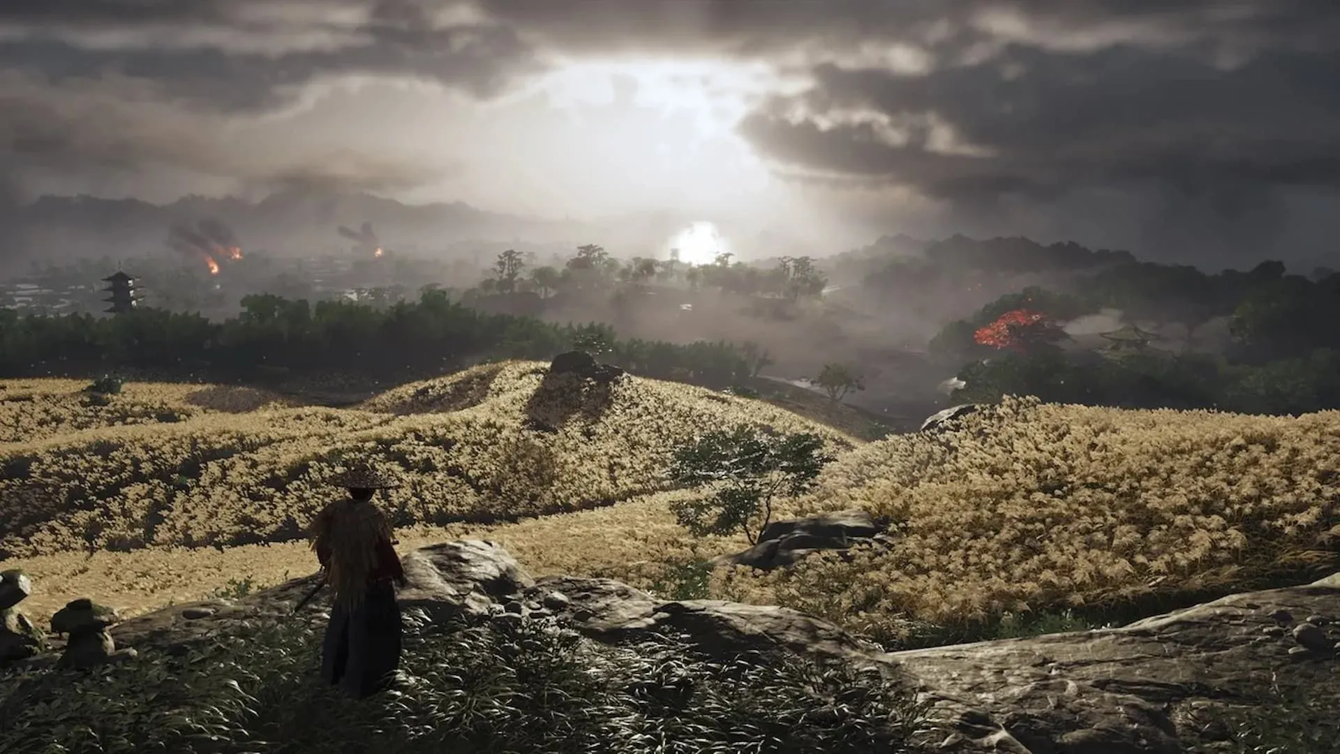 Jin Sakai cưỡi ngựa ngắm nhìn cánh đồng lộng gió trong Ghost of Tsushima