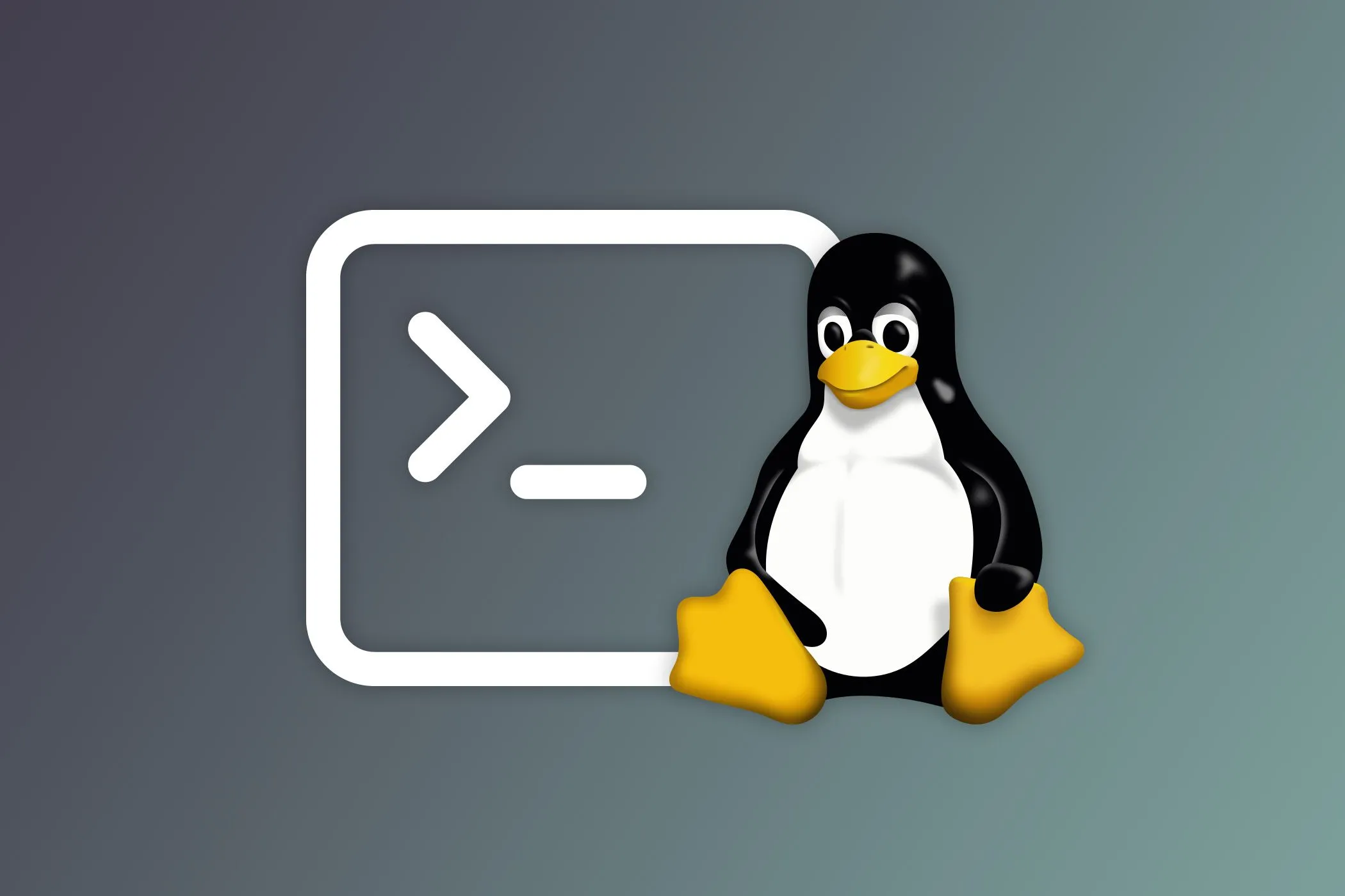 Màn hình terminal Linux hiển thị các dòng lệnh, minh họa cho việc học và thực hành hệ điều hành Ubuntu.