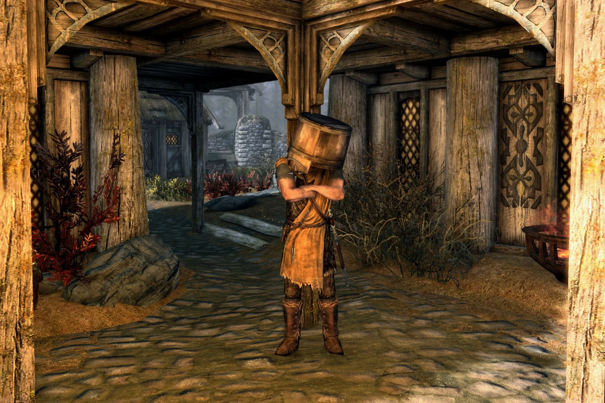Người lính gác trong Skyrim với chiếc xô trên đầu.