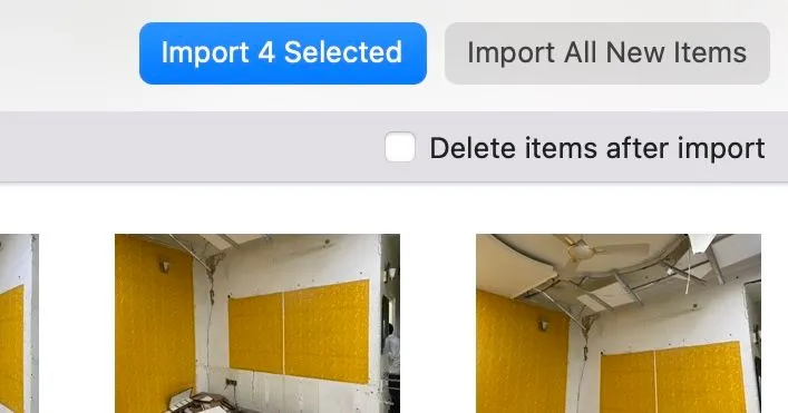 Nút Nhập Đã Chọn trong ứng dụng Photos trên macOS để nhập các mục đã chọn