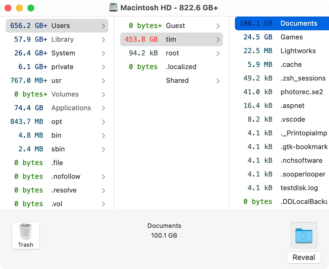OmniDiskSweeper hiển thị danh sách các tệp tin lớn trên macOS
