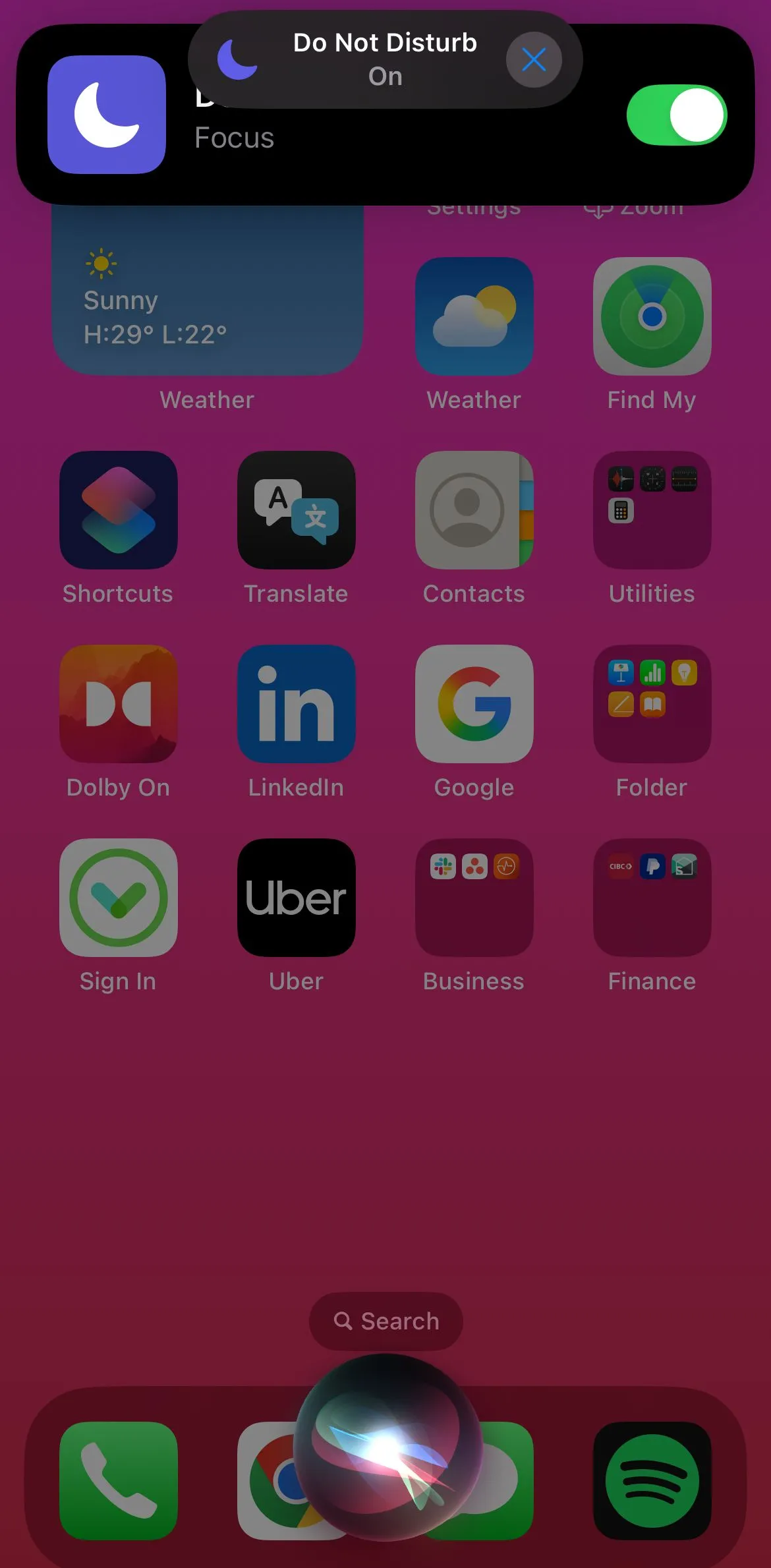 Siri xác nhận bật chế độ 'Không làm phiền' (Do Not Disturb) trên iPhone.
