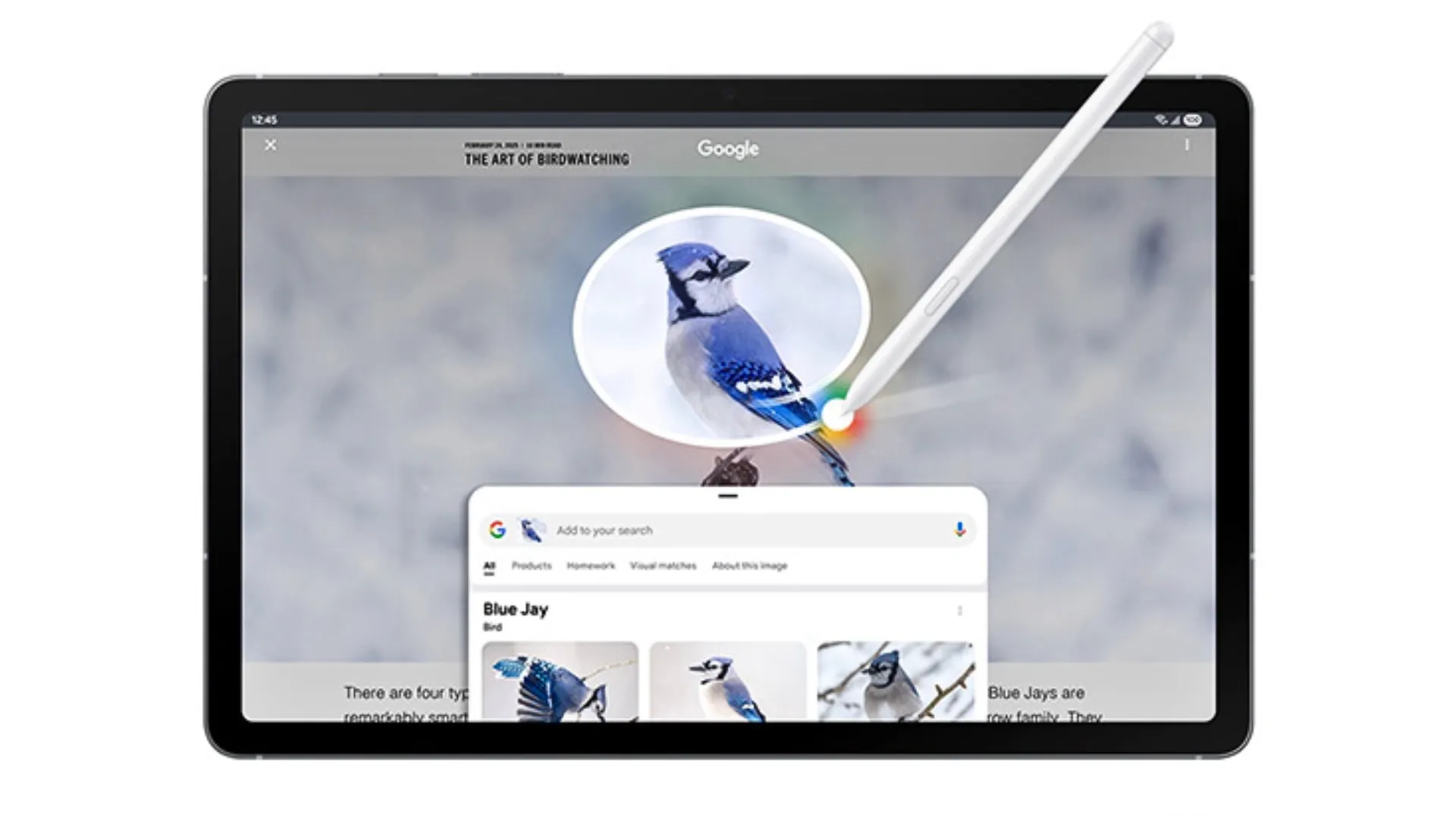 Tính năng Circle to Search thông minh trên giao diện One UI 7.0 của Galaxy Tab S10 FE.
