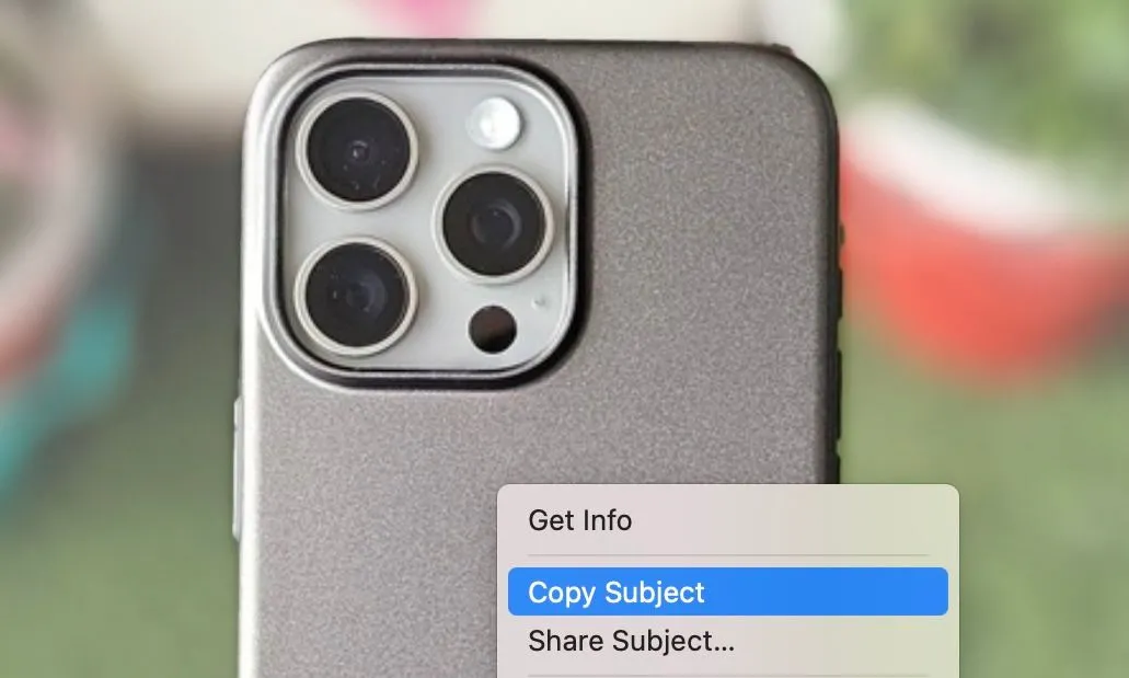 Tùy chọn Sao chép Chủ thể trong ứng dụng Photos trên Mac để tách đối tượng khỏi ảnh