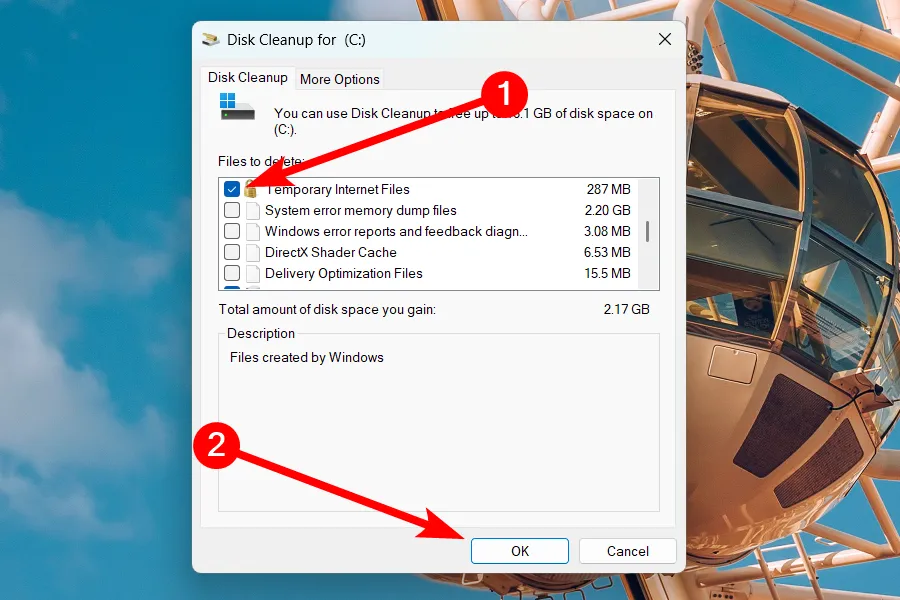 Chọn các loại tệp không cần thiết để xóa bằng Disk Cleanup trên Windows 11.