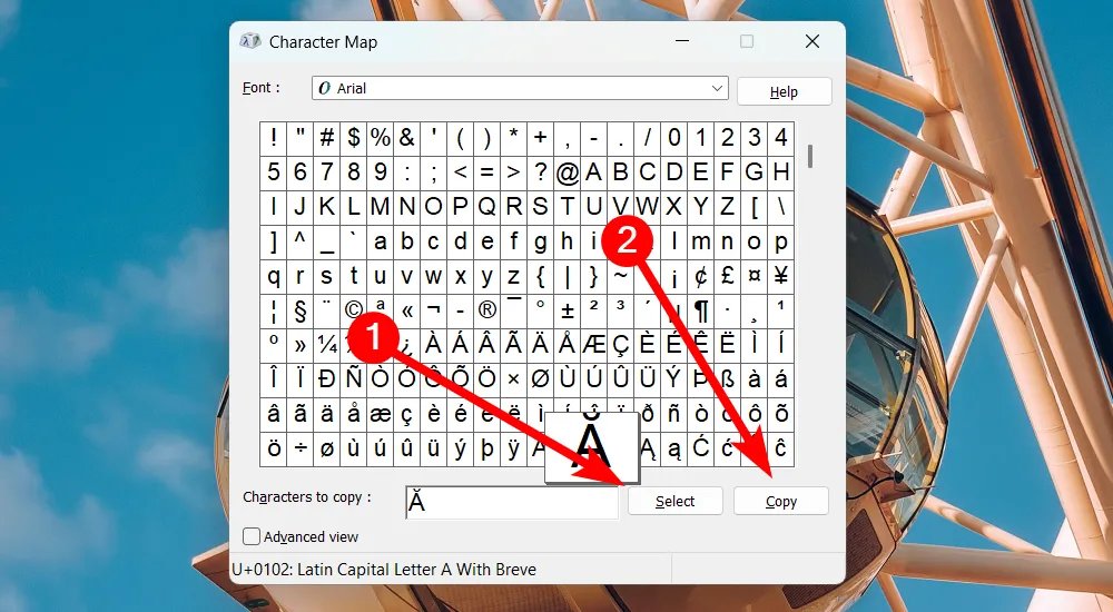 Hướng dẫn sao chép ký tự đặc biệt từ Bảng Ký Tự (Character Map) trong Windows 11.
