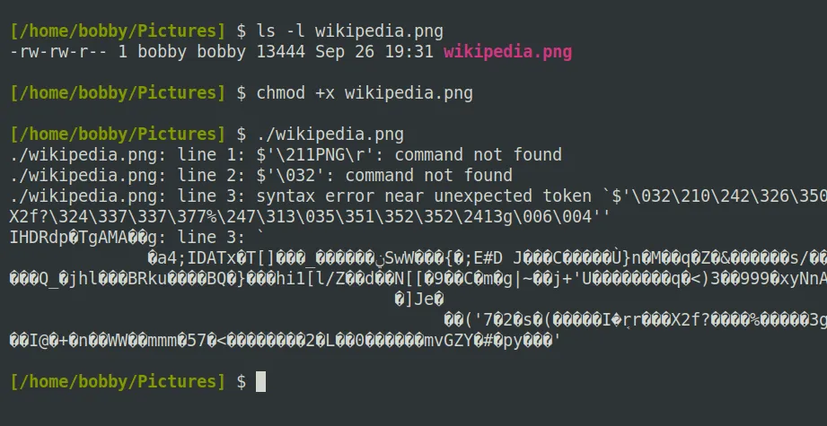 Màn hình terminal Linux hiển thị lỗi khi cố gắng thực thi một tệp ảnh, minh họa giới hạn của execute bit