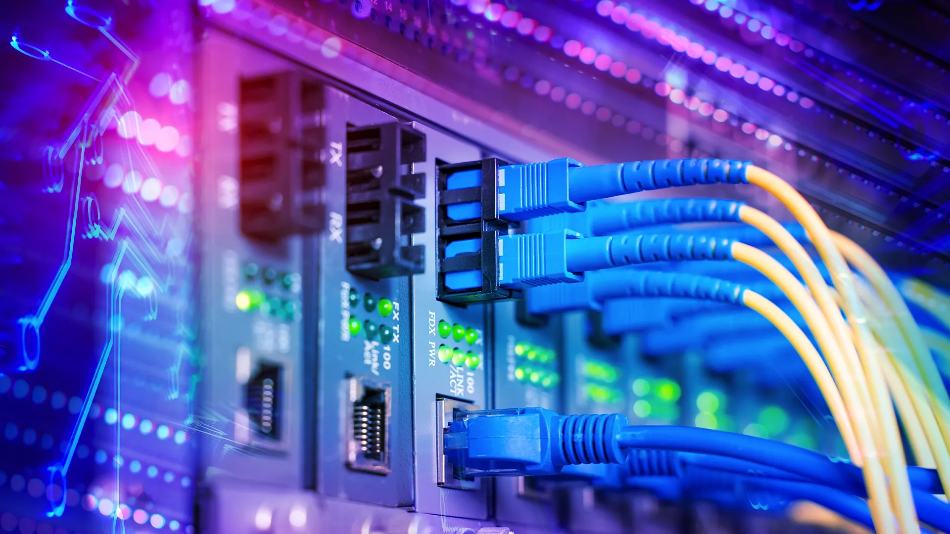 Cáp quang cắm vào máy chủ, biểu tượng cho kết nối 10Gb Ethernet tốc độ cao