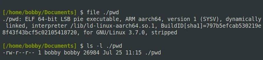 Giao diện dòng lệnh Linux hiển thị chi tiết file nhị phân bằng lệnh file và xác nhận không có quyền thực thi bằng ls -l
