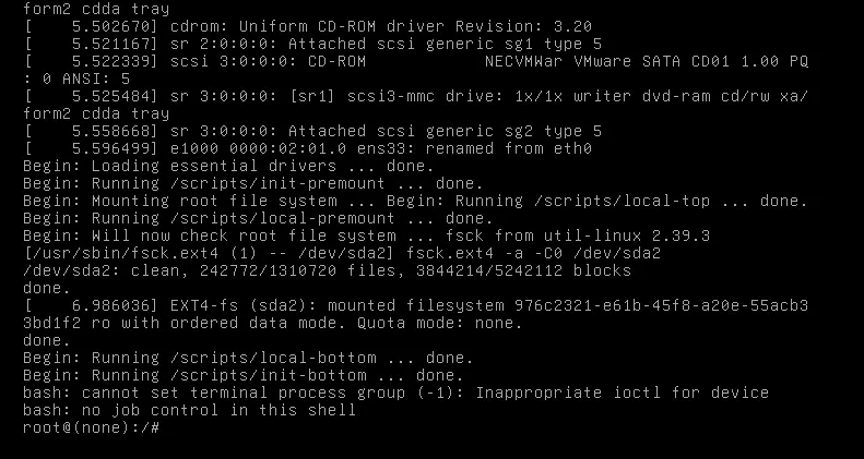 Giao diện terminal sau khi Linux khởi động vào môi trường shell root tối thiểu
