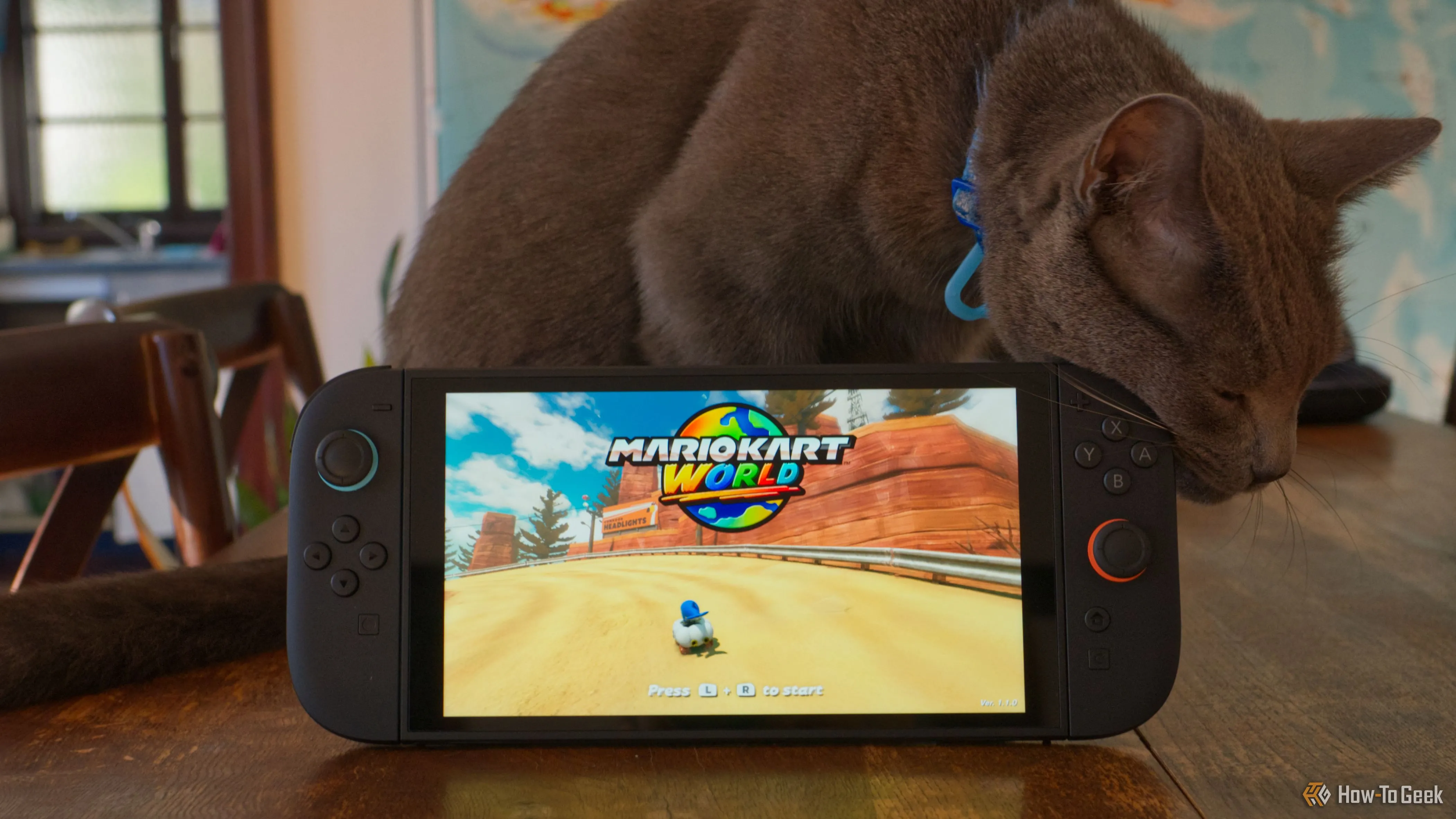 Máy chơi game Nintendo Switch 2 đặt cạnh chú mèo Roger, tạo hình ảnh gần gũi về thiết bị