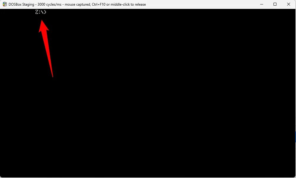 Ổ Z: đang hoạt động mặc định trong DOSBox Staging.