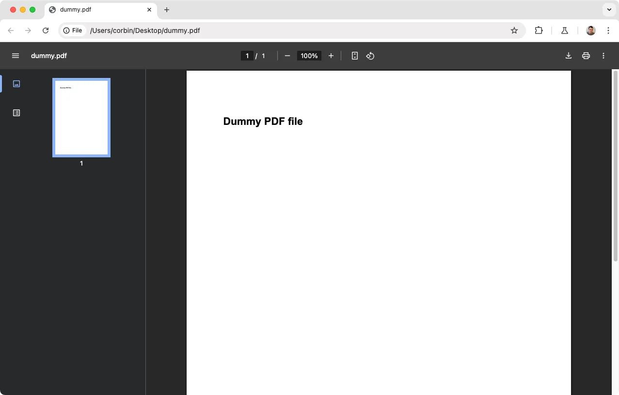 Tài liệu PDF được mở trực tiếp trong trình duyệt Google Chrome, minh họa khả năng xử lý file cục bộ