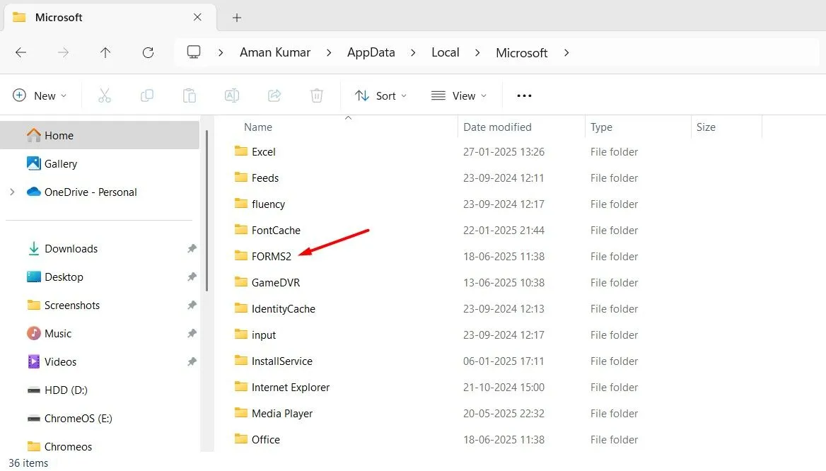 Thư mục FORMS2 trong thư mục Microsoft