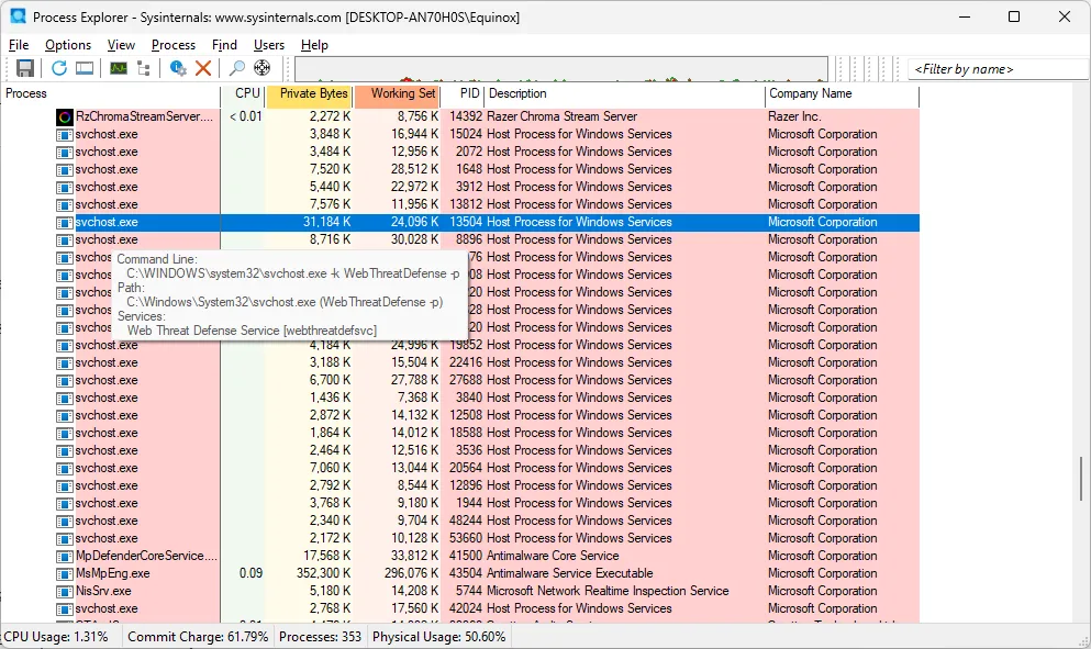 Tiến trình svchost.exe được hiển thị chi tiết trong Process Explorer