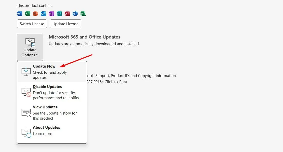 Tùy chọn Update Now trong cửa sổ Office Account